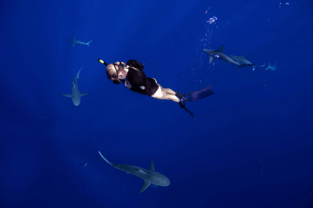 Freediving with Sharks in Oahu's North Shore This Adventure Life